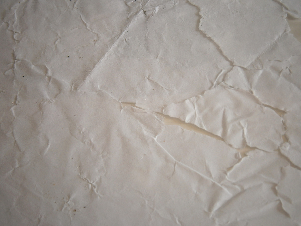 I Love the Sea by Robert Blatt