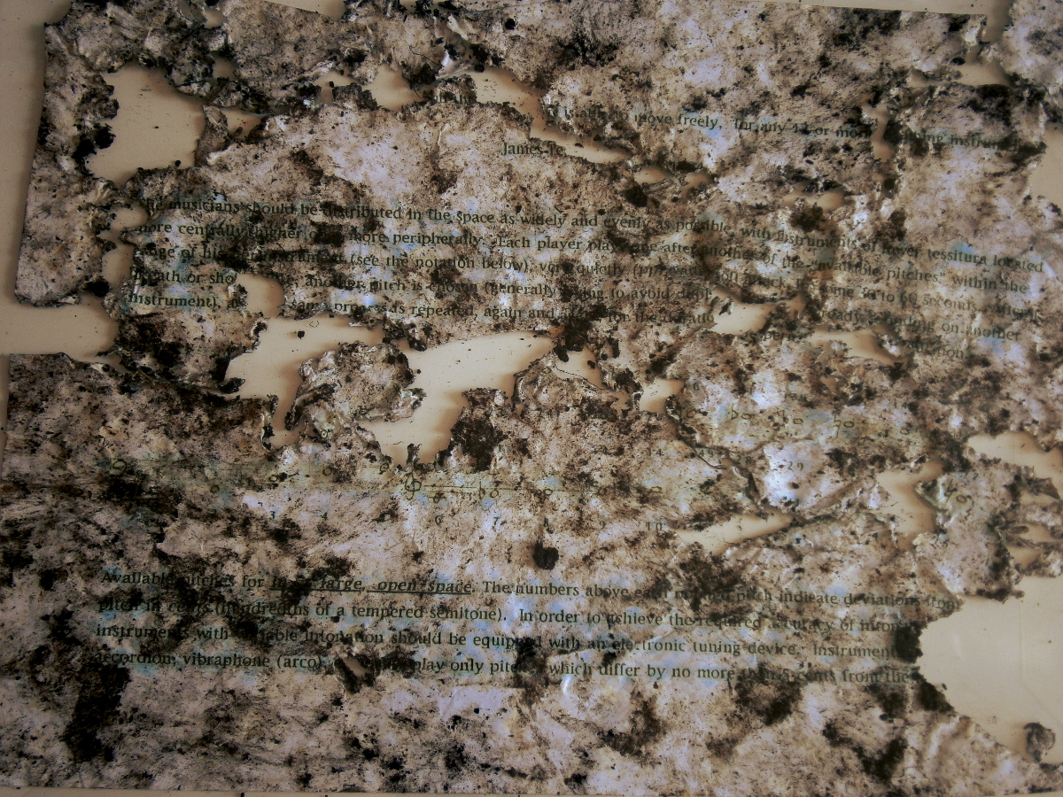 In a large, open space. (decomposition series) by Robert Blatt