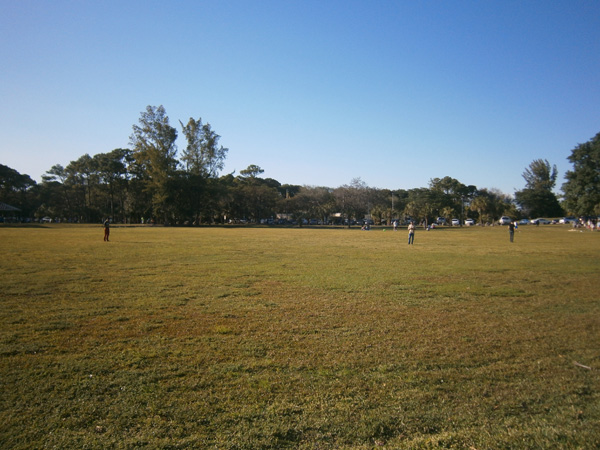 Walking Listening by Robert Blatt