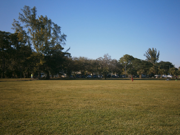 Walking Listening by Robert Blatt