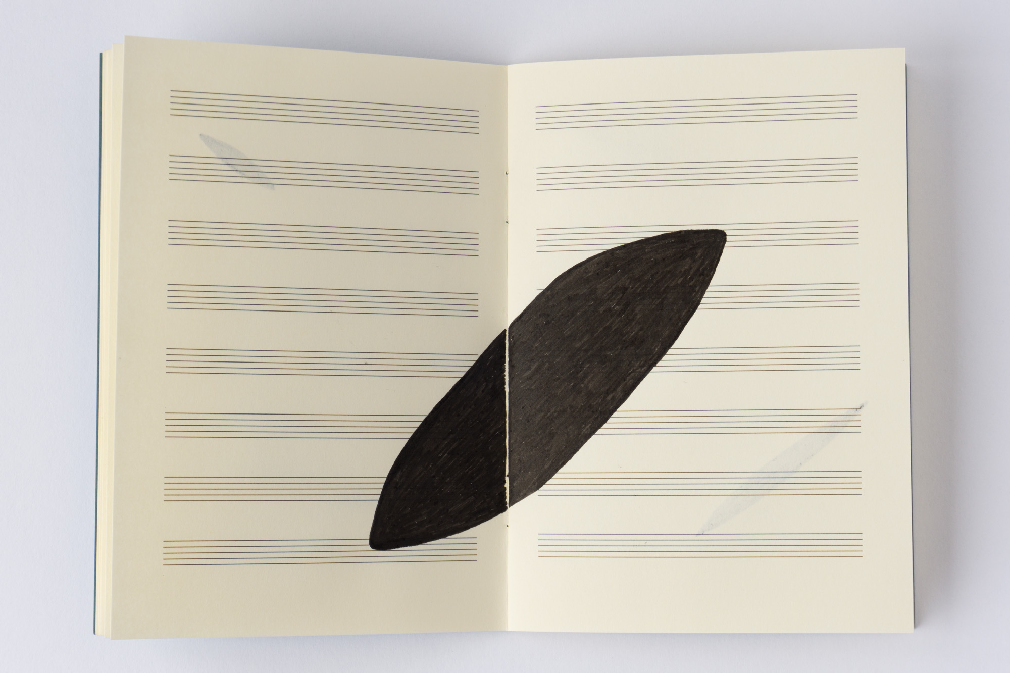 Negative Transcriptions by Robert Blatt