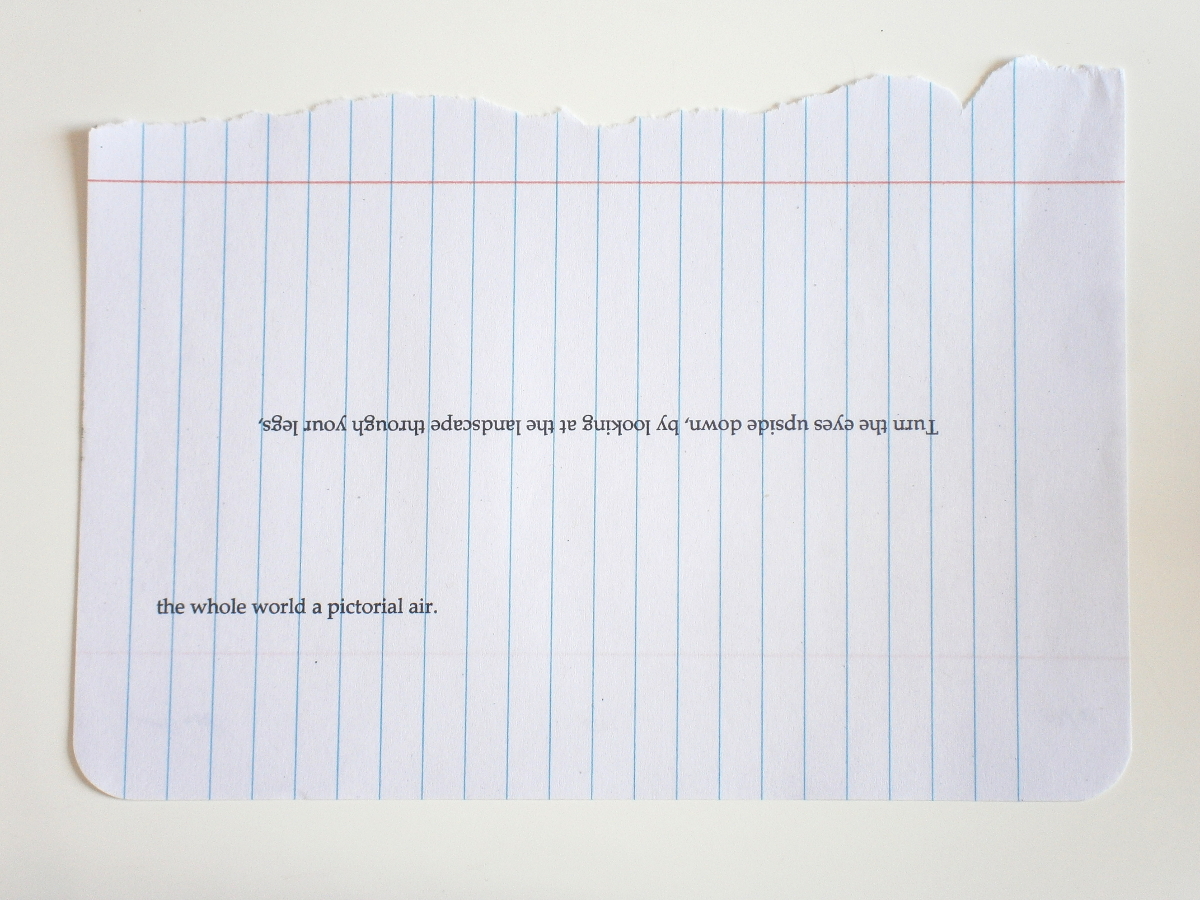 the whole world a pictorial air. by Robert Blatt