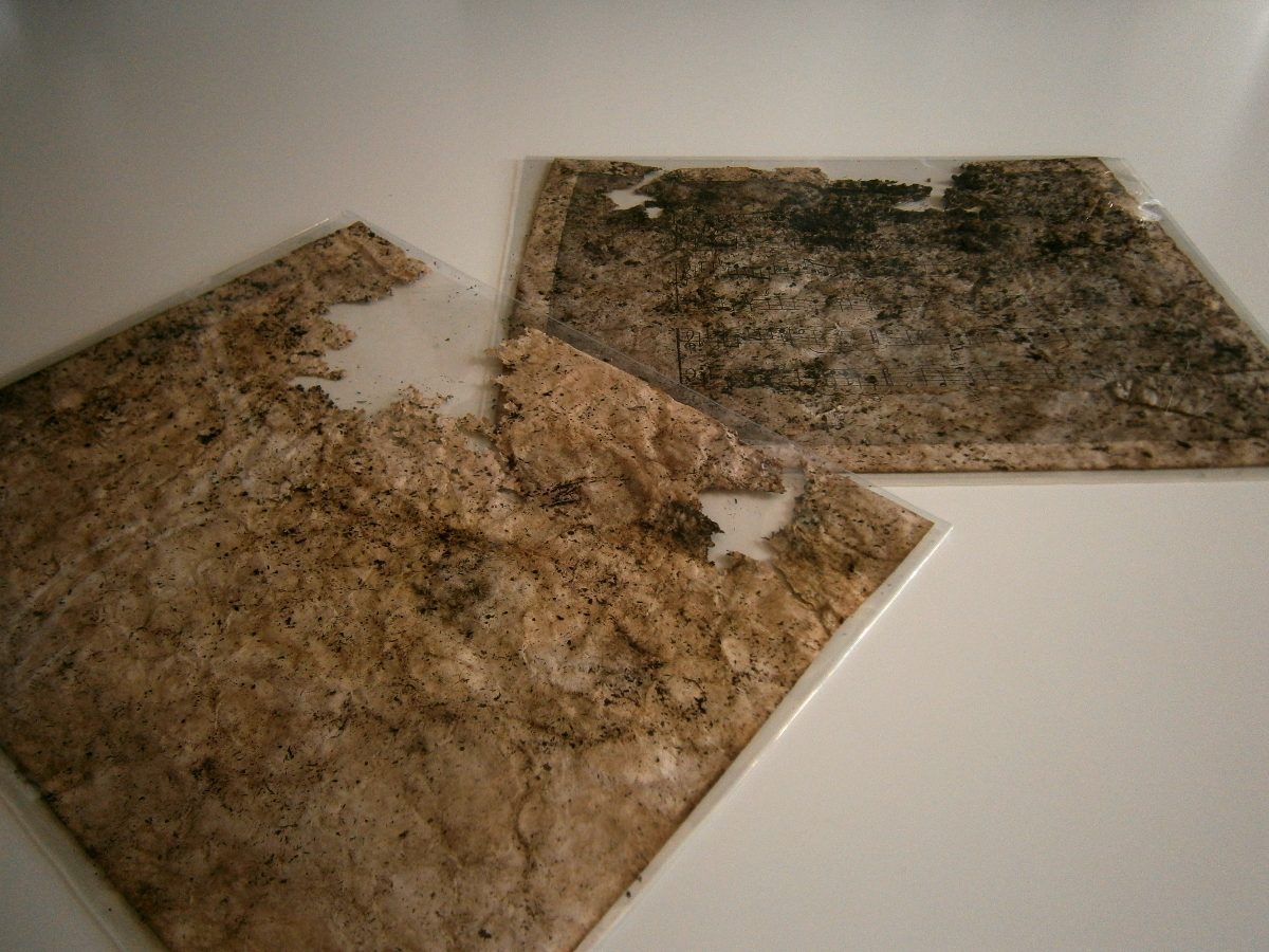 Tombeau de Mr. Francisque Corbet (decomposition series) by Robert Blatt