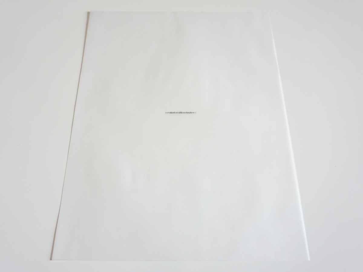 we meet at this window (1) by Robert Blatt