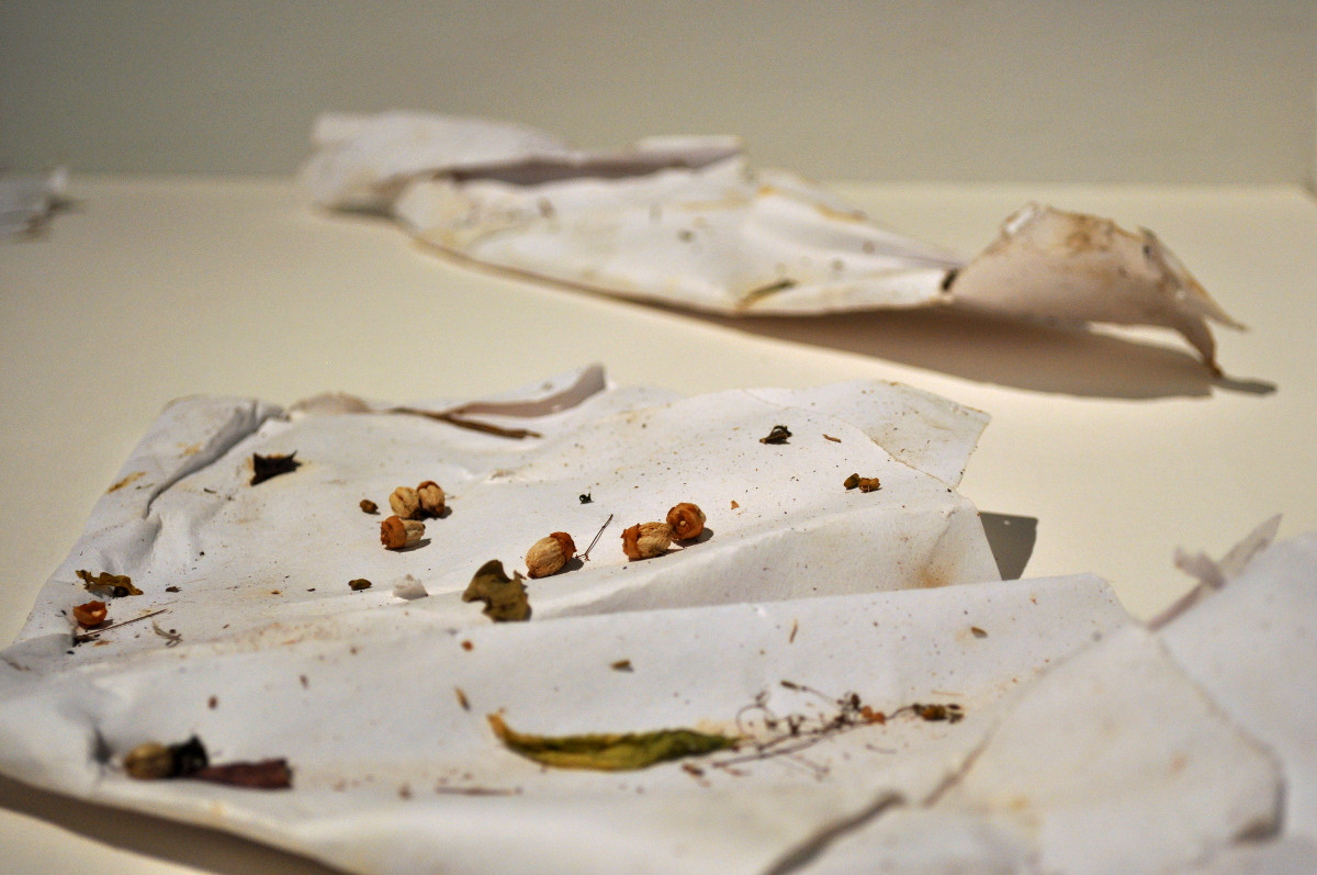 There arose a great tempest in the sea (2) by Robert Blatt